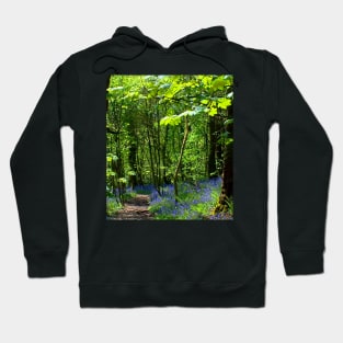 Bluebell Walk Hoodie